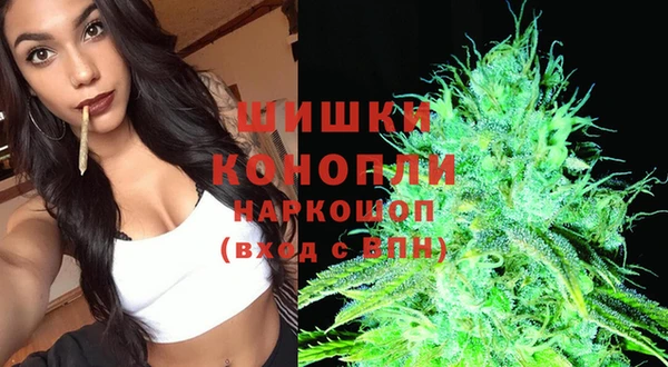 стафф Богданович