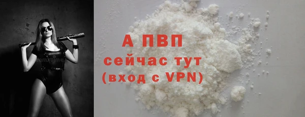 сатива Белокуриха