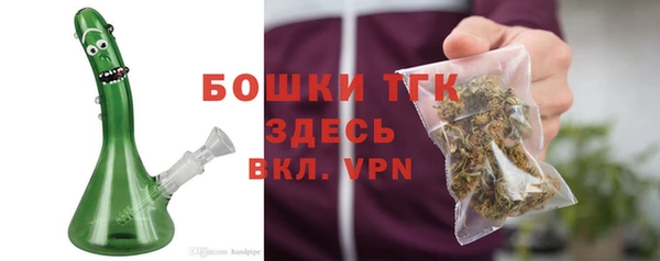 сатива Белокуриха
