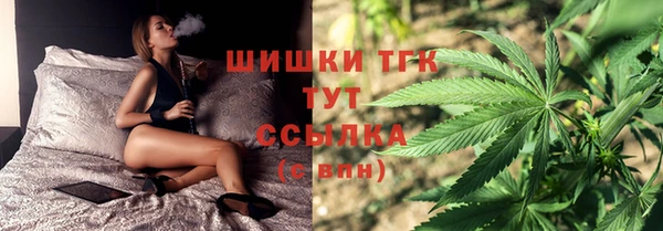 сатива Белокуриха